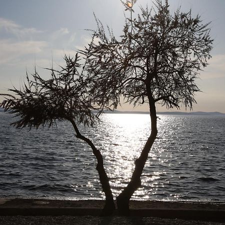 Villa Punta Zadar Exterior foto