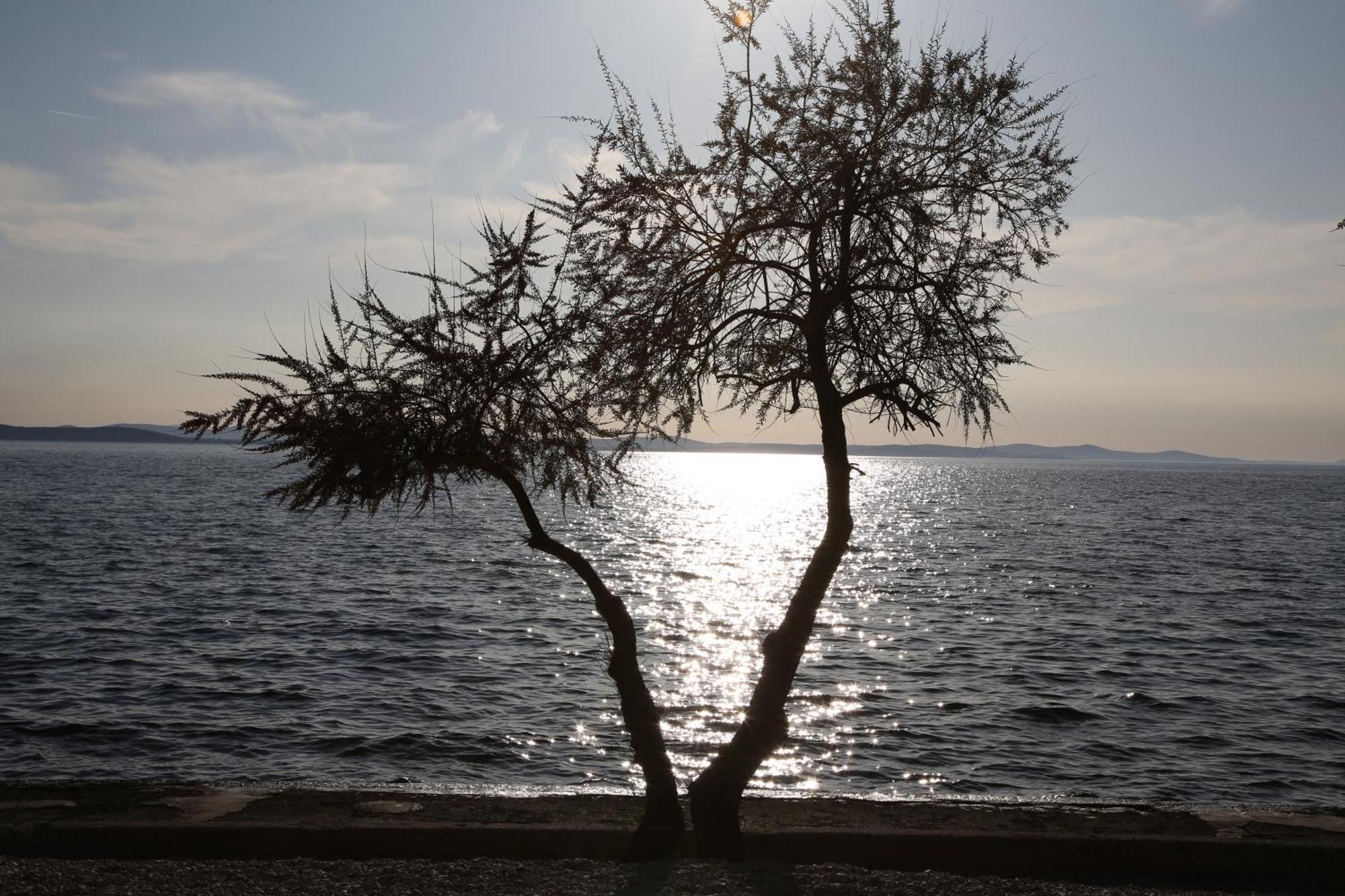Villa Punta Zadar Exterior foto